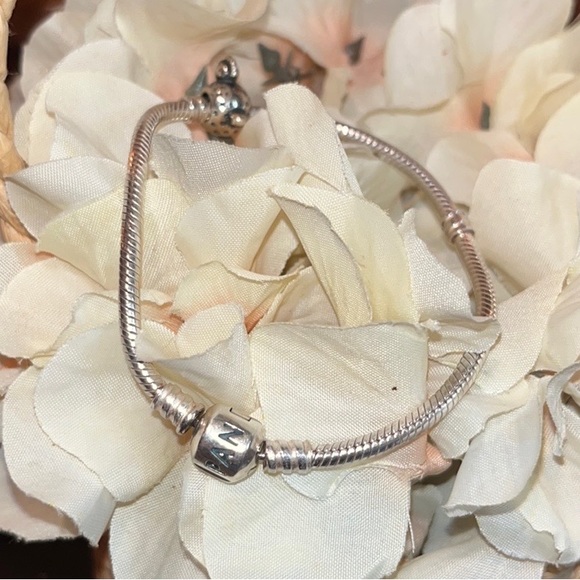 Pandora starter charm bracelet. Comes with one charm BEAUTIFUL BRACELET - Picture 10 of 10